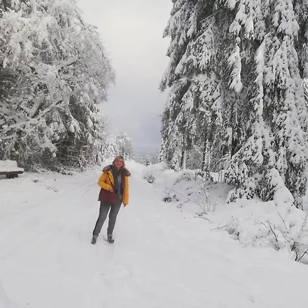 Apartment Eifel24, Neues Und Barrierefreies Mit Terrasse *