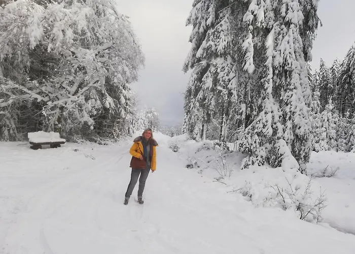Apartament Eifel24, Neues Und Barrierefreies Mit Terrasse *